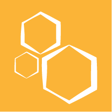 winners chosen image