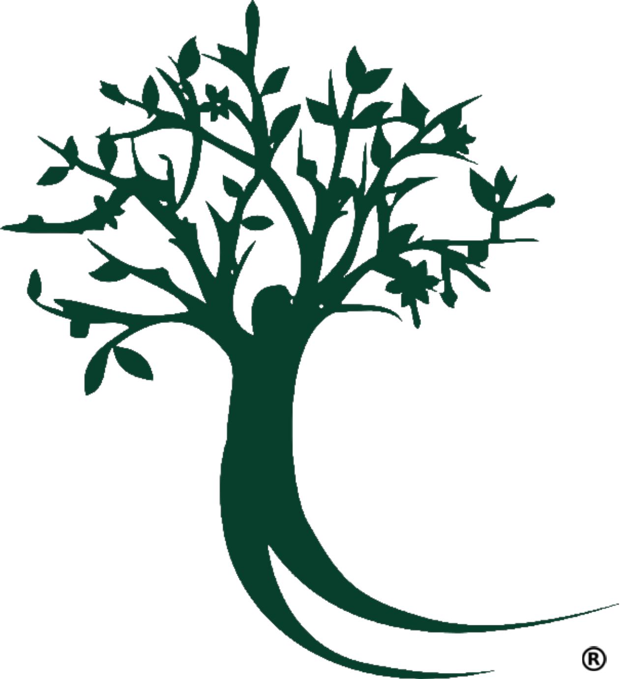 winners chosen image